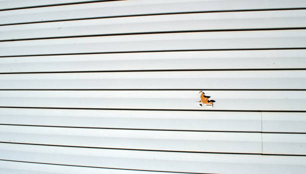 Best Residential Vinyl Siding Installation  in Mount Pleasant, UT